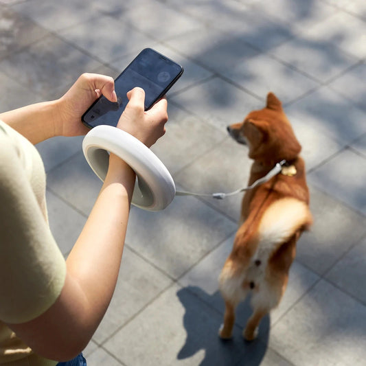 Dog Leads Rope Smart Dog Leash Hands Free Anti-shock Walking Retractable UFO Pet Leash