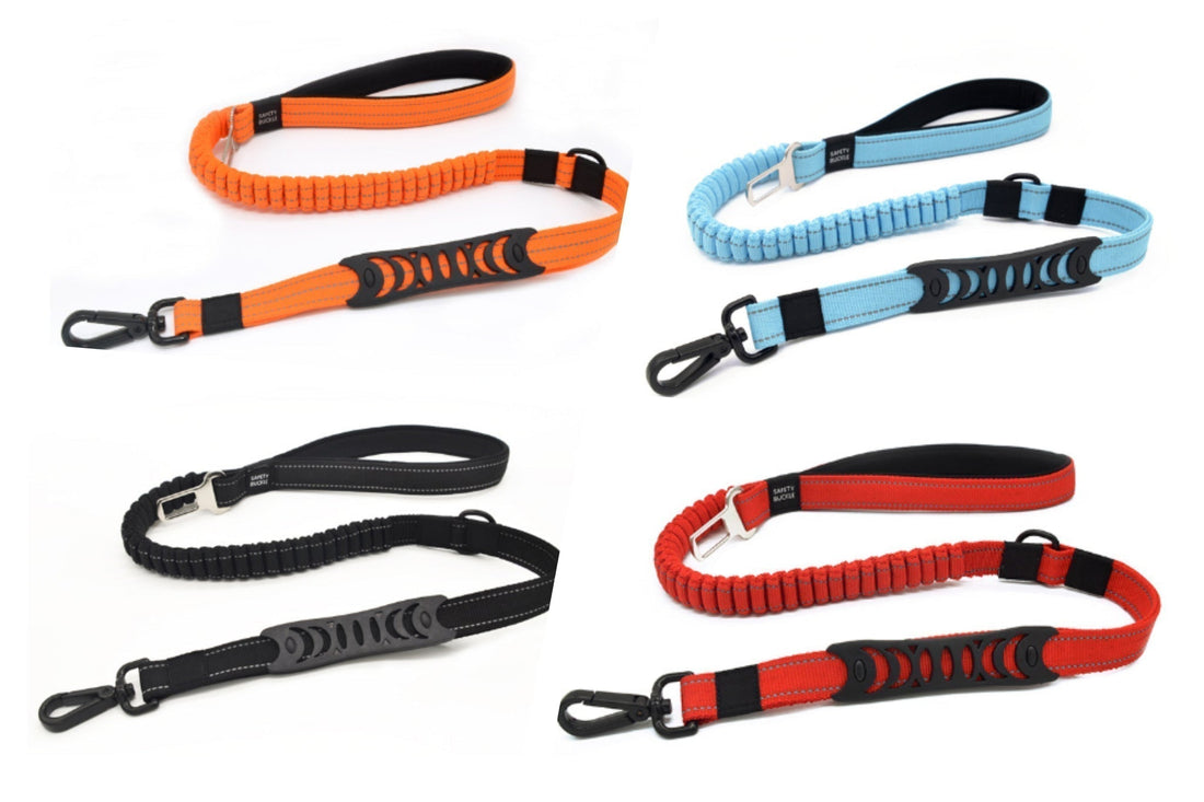 Reflective bungee dog leash with seatbelt buckle and bag holder