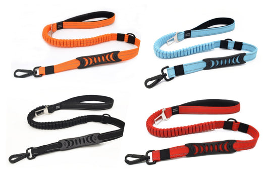 Reflective bungee dog leash with seatbelt buckle and bag holder