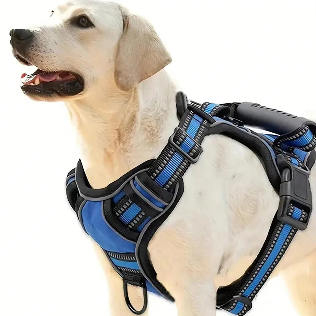 tactical dog harness no pull dog harness